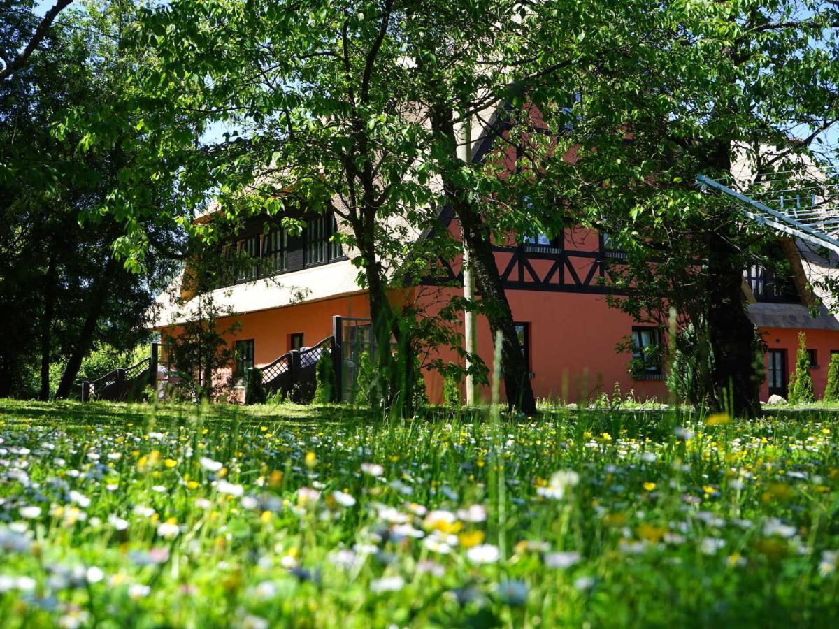 Pferdehof Bela Appartement Nonnevitz Buitenkant foto